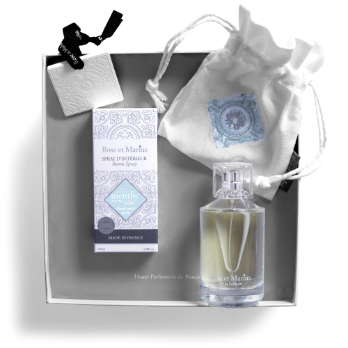 COFFRET SPRAY D'INTÉRIEUR & CARREAU PARFUME - menthe fraîche