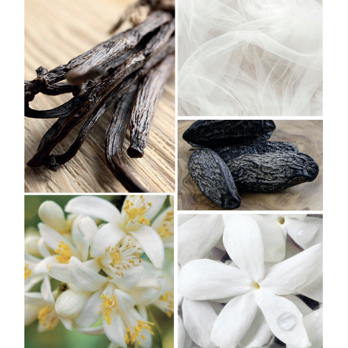 Savon naturel découverte -...