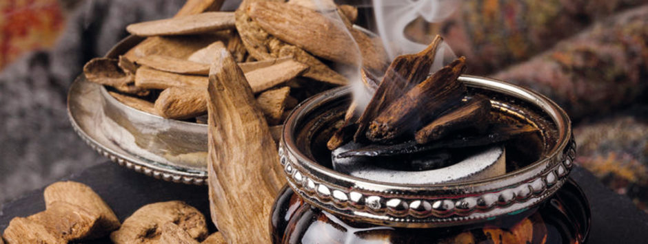 Tout savoir sur le bois de Oud Rose et Marius