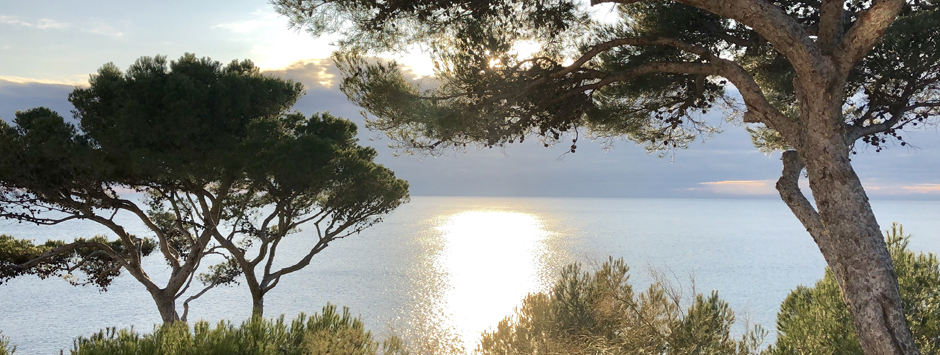 Calanque des figuieres